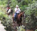 cavalgada na serra de são jose